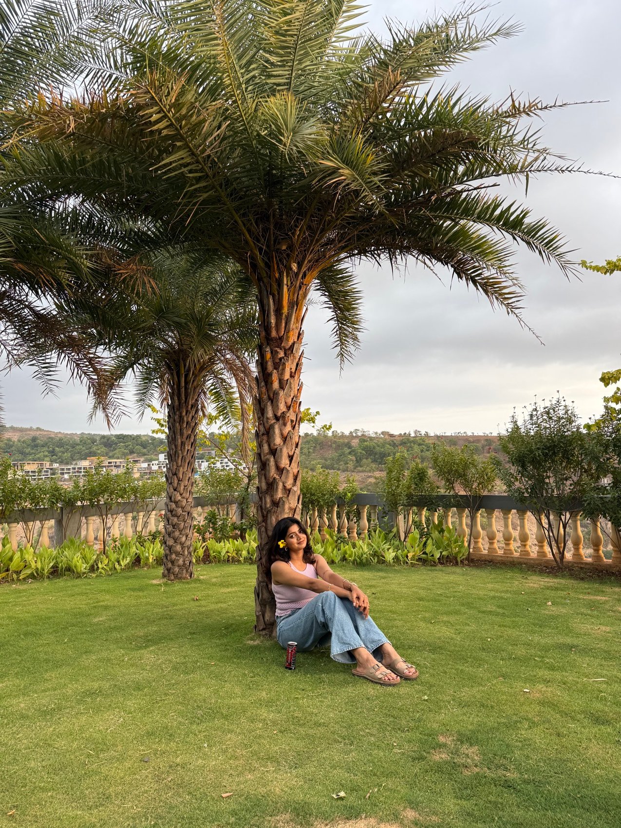 Resort lawn shoot under a palm tree
